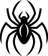 black spider isolated on white