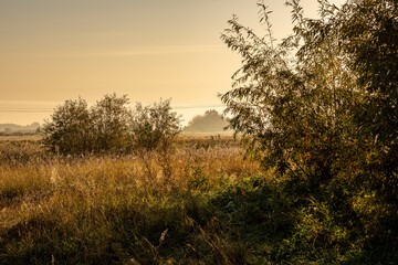 Morning fog on the lake at dawn. Colourful glow in the sky, with surrounding forest trees reflected...