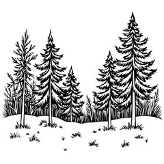 Obraz premium Vintage-style black and white forest illustration with pine trees 