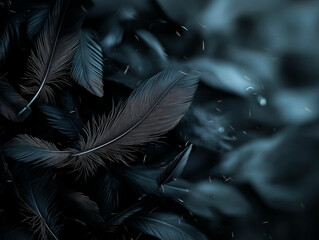  Dramatic And Mysterious Scene