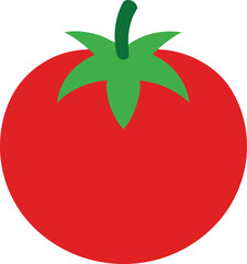 tomato vector illustration