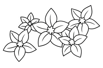 Varieties of Jasmine Flourish Flowers