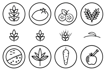 Various Types of Jam and Preserve