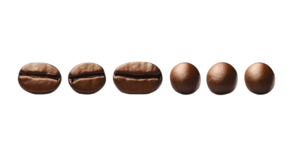 5 coffee beans arranged in a row, against on Png Format and Transparent Background