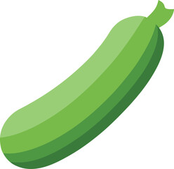 vector illustration of a cucumber