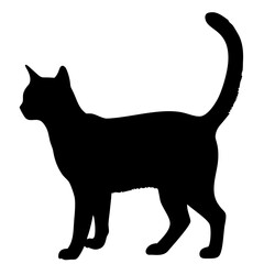Cat vector icon isolated on white background