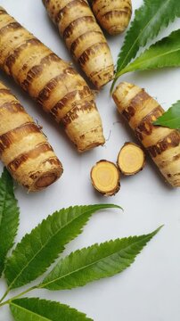 Arrangement of Arrowroot Roots and Greenery on a White Surface
