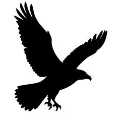 flaying eagle isolated on white background