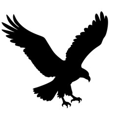 flaying eagle isolated on white background