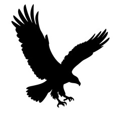 Obraz premium flaying eagle isolated on white background