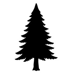 Obraz premium fir tree isolated on white background