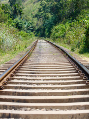 Fototapeta premium A train track with a green forest in the background