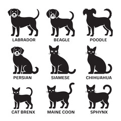 Dynamic Pet Silhouettes Collection for Vector Design