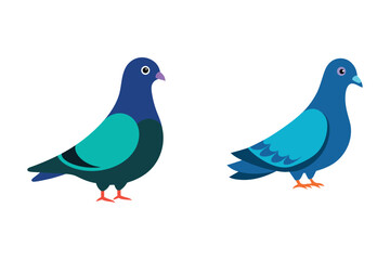 Two gray pigeons, birds with feathers and wings, isolated on a white background