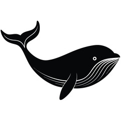 Whale Ocean Mammal Illustration