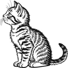 Hand-Drawn Illustration of a Cute Sitting Striped Cat in Profile View