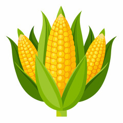corn Fruit isolated vector