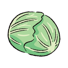 手描きのキャベツのイラスト2