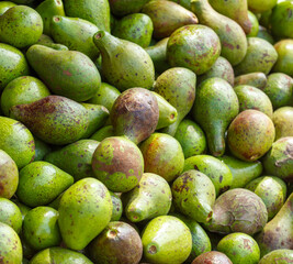 A bunch of green avocados are piled on top of each other