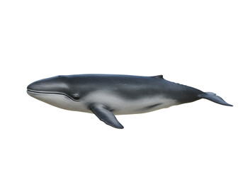 Naklejka premium Stunning Humpback Whale Image: High-Resolution Download