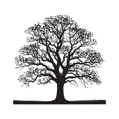 Fototapeta premium Pecan Tree Vector - Pecan tree minimalist Design - Pecan tree Illustration - black and white pecan tree art.