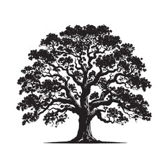 Obraz premium Pecan Tree Vector - Pecan tree minimalist Design - Pecan tree Illustration - black and white pecan tree art.