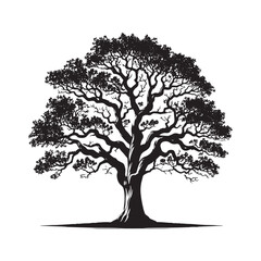 Obraz premium Pecan Tree Vector - Pecan tree minimalist Design - Pecan tree Illustration - black and white pecan tree art.