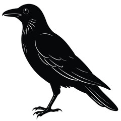 Black crow silhouette vector illustration of a wild bird on a branch