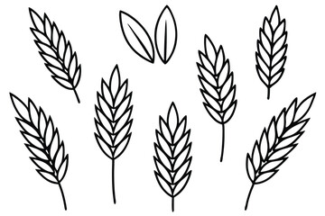 Healthy Oat Varieties Illustration