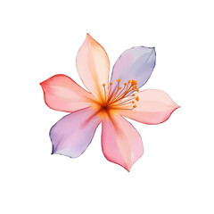 Fototapeta premium Delicate flower with soft pink and purple petals showcasing intricate details and vibrant colors in a minimalist design