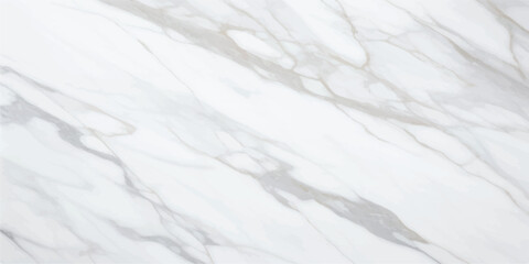 Premium White and Gray Marble with Fluid Veins, Ideal for Luxury Backgrounds, Bathroom Designs, and Artistic Wall Covers
