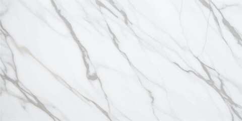 Luxurious White and Gray Marble Design with Subtle Veins and Smooth Texture, Ideal for High-End Tiles, Floor Designs, and Artistic Applications