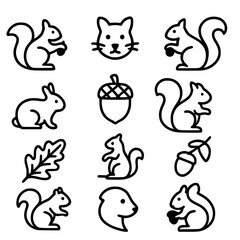 squirrel icon set