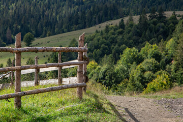 Fototapeta premium Rustic wooden fence along a peaceful hillside trail surrounded by lush greenery under a clear sky