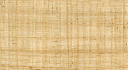 Natural Papyrus Texture on White Background