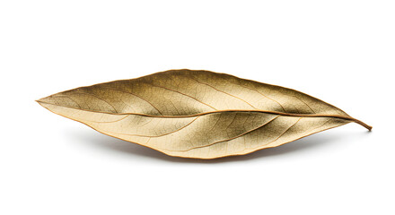 Golden Leaf Ornament on White Background