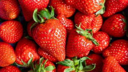 Macro Shot of Juicy Strawberries – Fruit Background