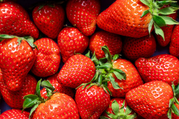 Strawberry Texture – Macro Background of Red Ripe Berries
