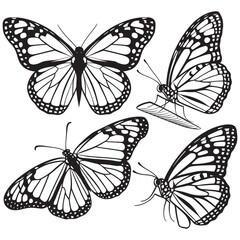 Butterfly Silhouette Design Vector, Professional Butterfly Design