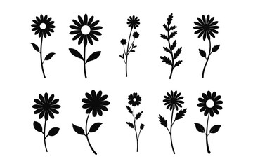 Chamomile flower  Silhouette vector bundle 
