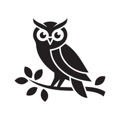 owl on white background