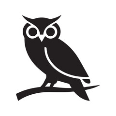 owl on a branch