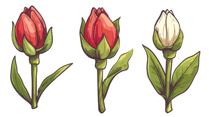 Hand-Drawn Blooming Flower Bud Icon, Botanical Vector Illustration, Spring Blossom, Nature cute life