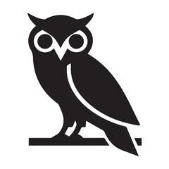 owl on a white background