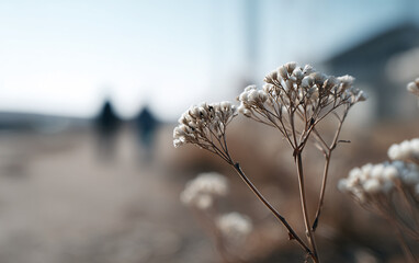 Wildflowers with blurred people in background – cinematic emotional concept series

