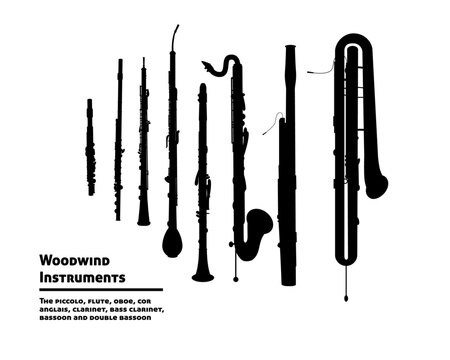 Woodwind Instruments