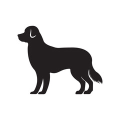  silhouette of a standing dog