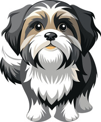 Shih Tzu