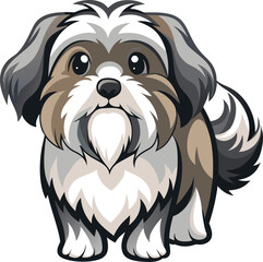 Shih Tzu