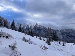 Scenic winter mountain landscape with snow-covered pine trees, steep rocky peaks, and dramatic cloudy sky in the Carpathians .snow covered mountains